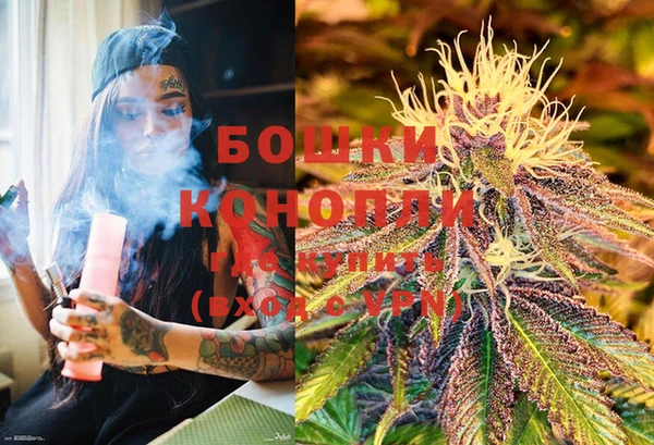PSILOCYBIN Менделеевск