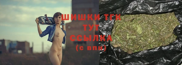 МДПВ Шадринск