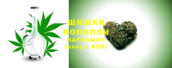 МДПВ Шадринск