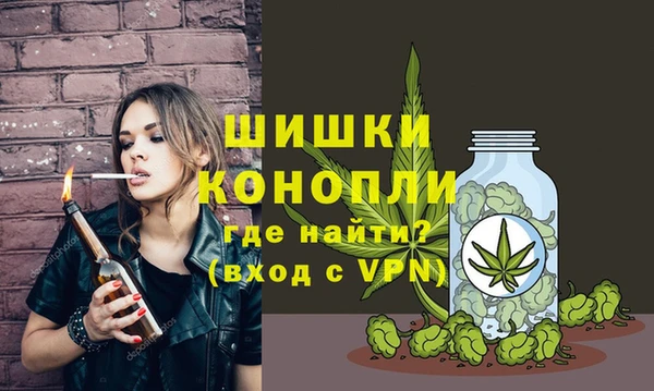 МДПВ Шадринск
