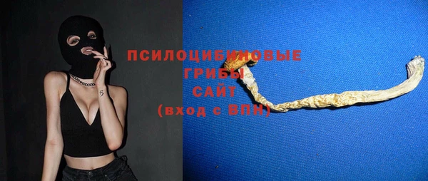 МДПВ Шадринск