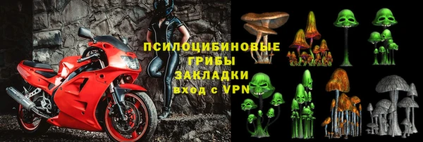 МДПВ Шадринск