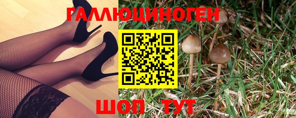 Псилоцибиновые грибы Magic Shrooms  Галлюциногенные грибы GOLDEN TEACHER  Камышлов  купить наркотик  Вход с VPN 