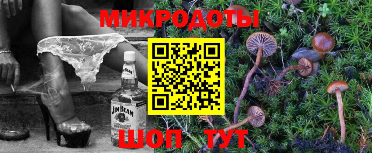 Псилоцибиновые грибы мицелий Камышлов